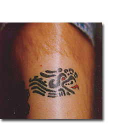 Azteca snake