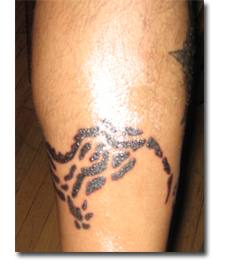 Azteca snake