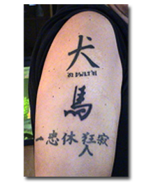chinese logo 1