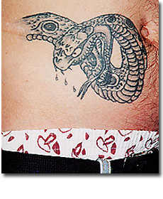 cobra snake
