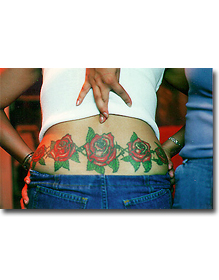 LISA ROSES